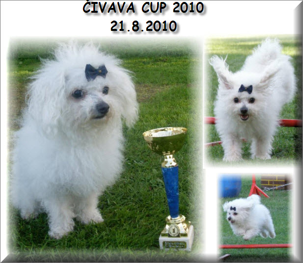 CIVAVA CUP 2010 1. misto!!!