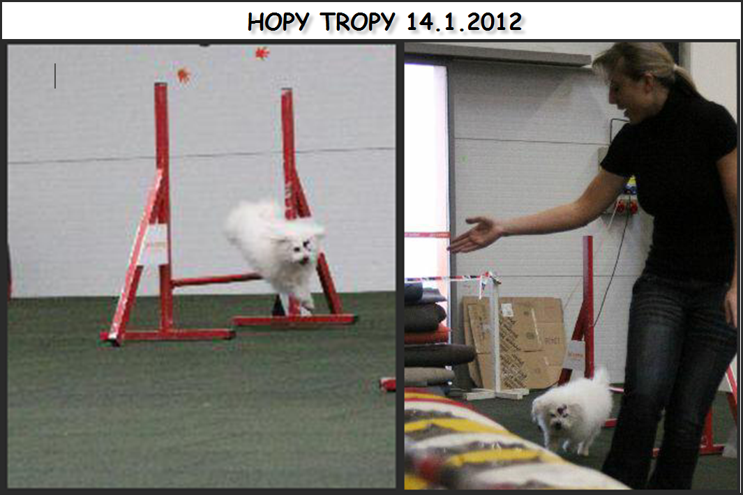 HOPY TROPY ANDY 14.1.2012